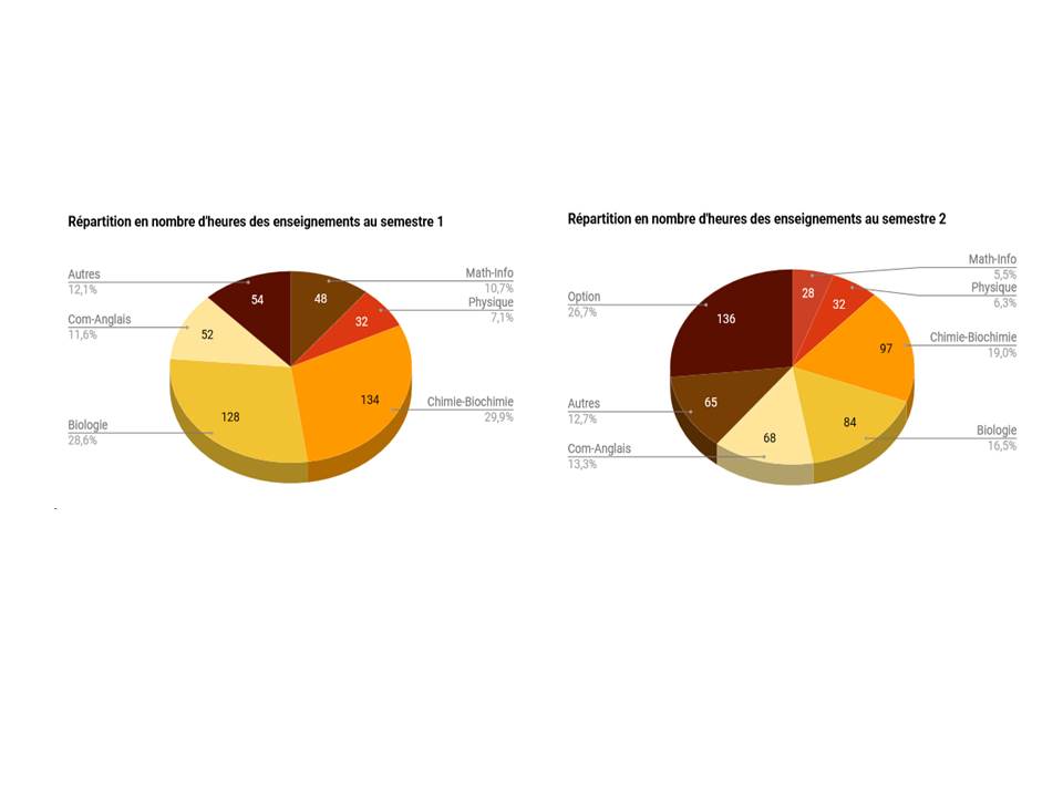 But Génie Biologique Parcours Diététique Et Nutrition